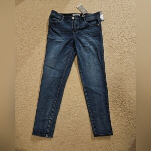 Wit & Wisdome Ab Solution Skinny Jeans